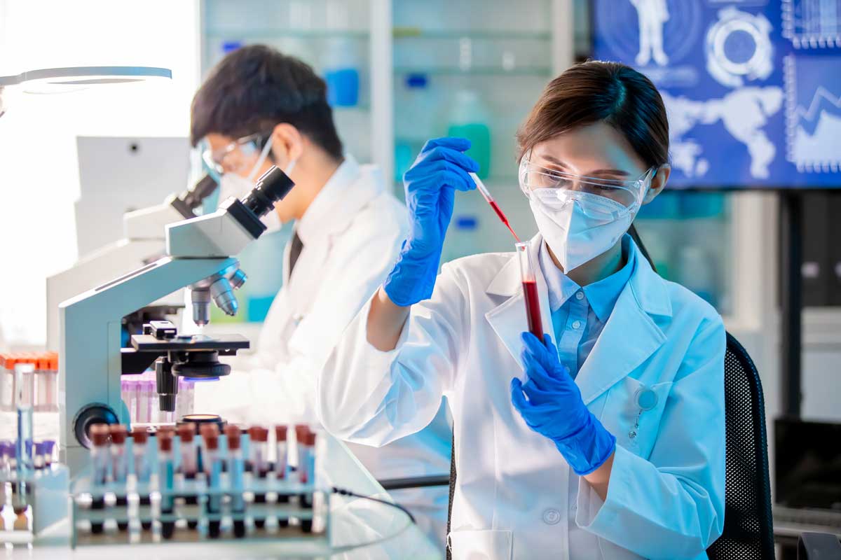 Technicians working in a medical laboratory